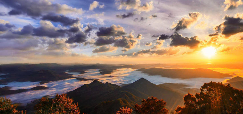 浙江中少在线调查公司轮播图2