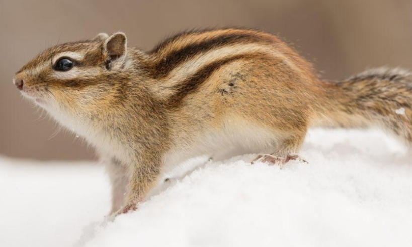 浙江中少在线调查公司轮播图1