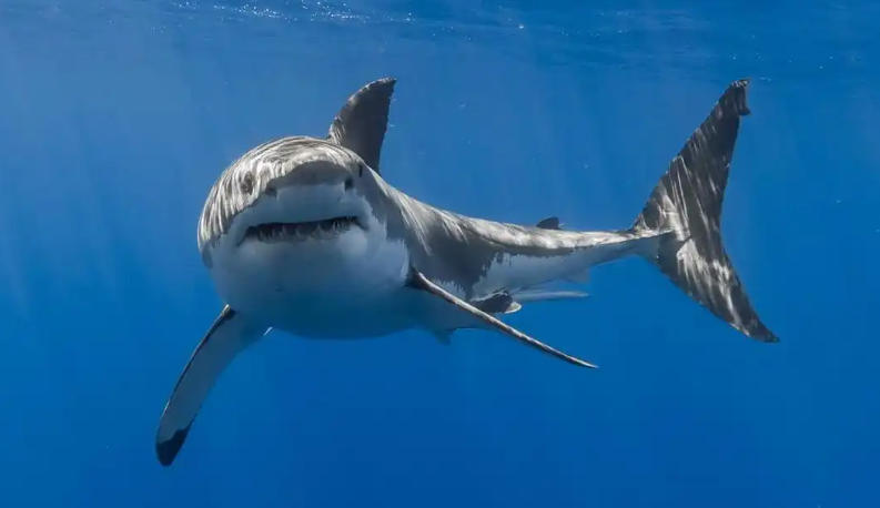 浙江中少在线调查公司轮播图4