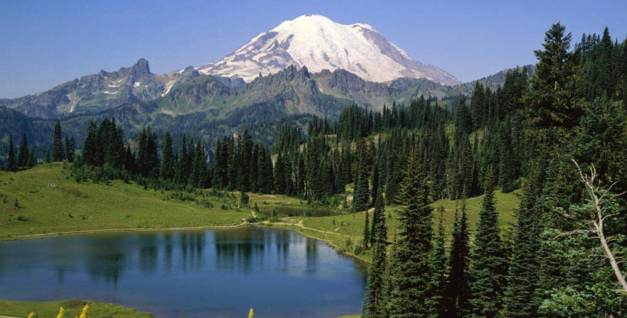 浙江中少在线调查公司轮播图3