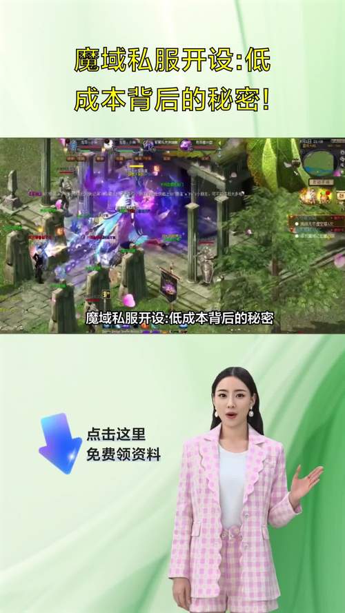 魔域私服发布网：平台功能与私服特点的深度剖析